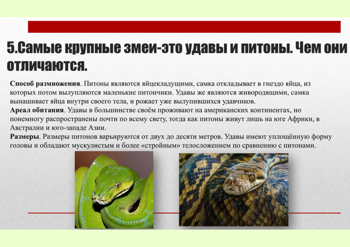 news 04 03 2025 02 001