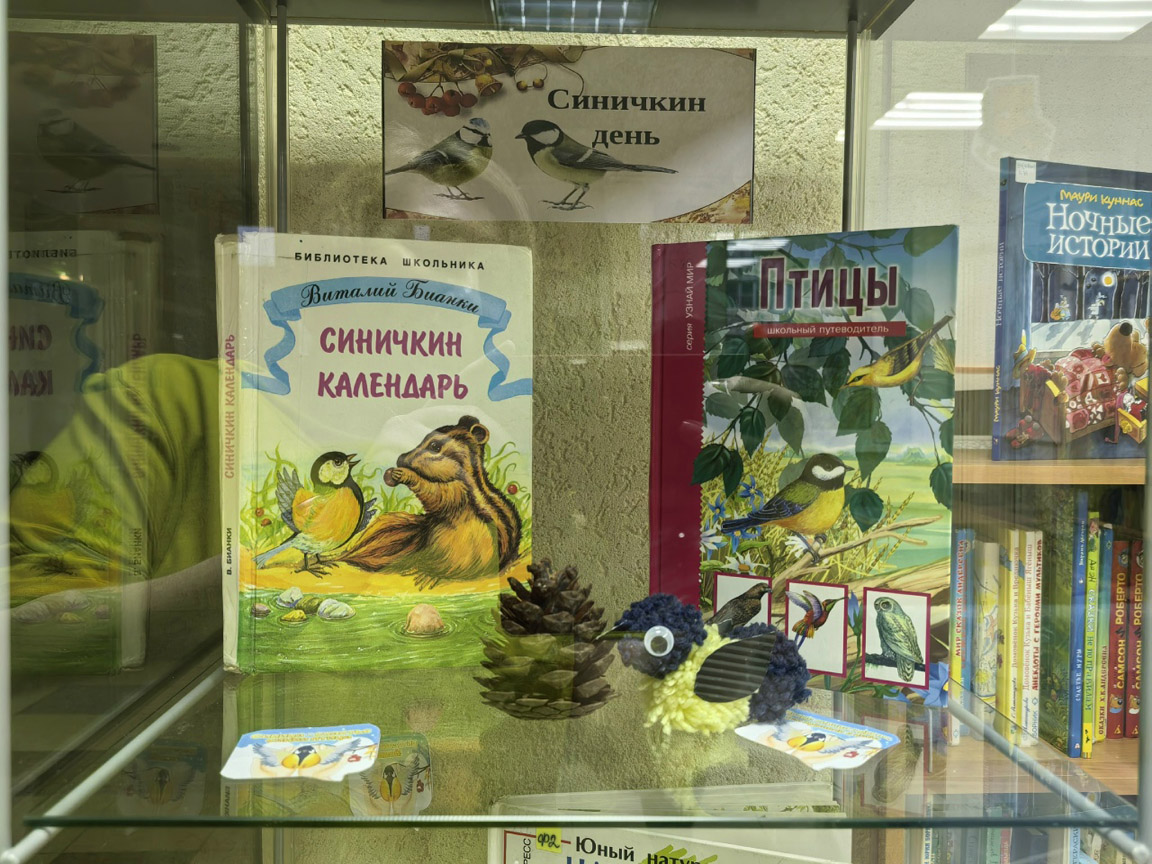 news 17 11 2025 01 001