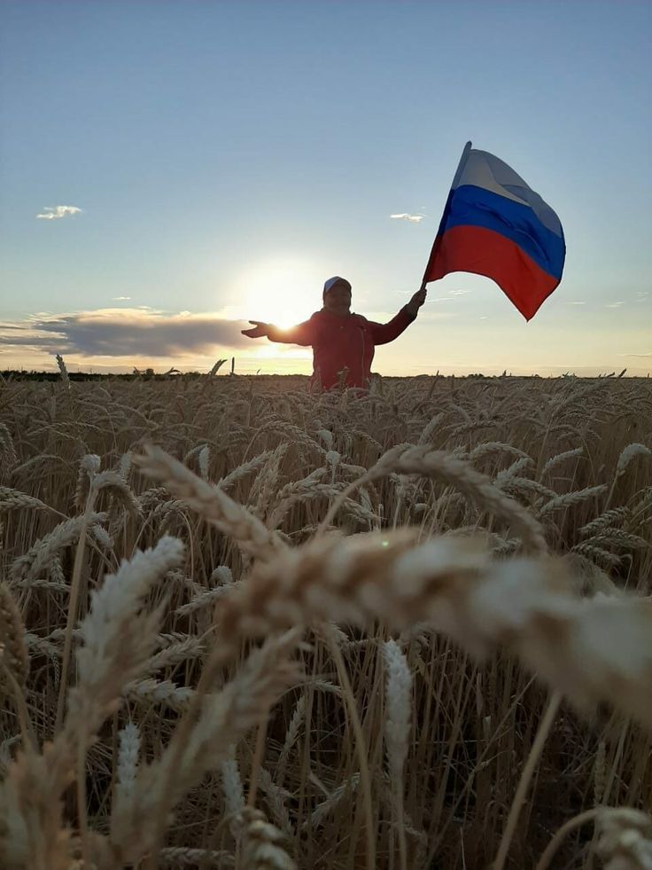 2 стих