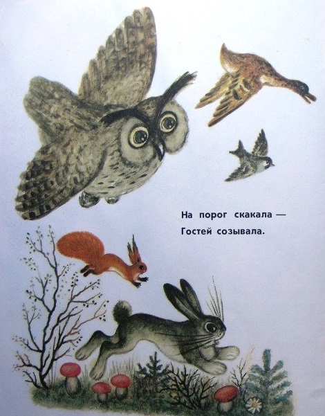 20.3. сорока белобока
