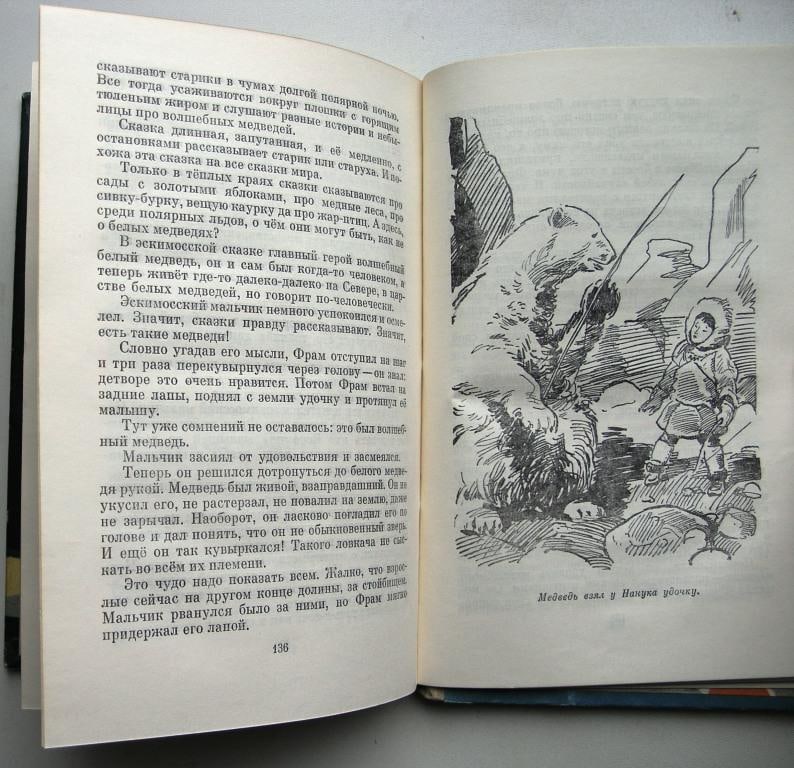 30.2 петреску белый медведь